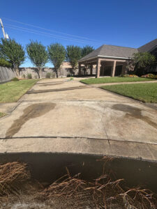 IMG_20251213_013432 (2)(1)