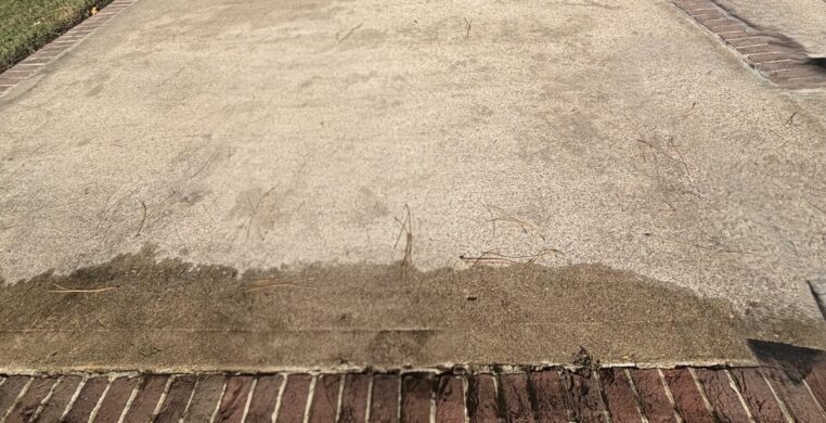 IMG_20251213_013432 (1)(1)cropped